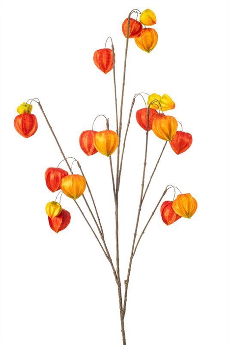 <h4>Lampionplant spray x10 110cm oranje</h4>