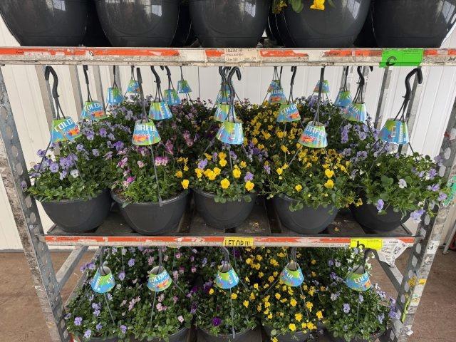 <h4>VIO CO END GEM</h4>