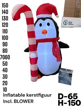 <h4>Christmasfigure Inflatable With Blower</h4>