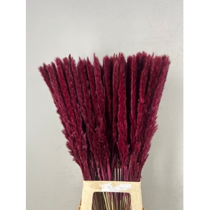 DF Pampas Silvy Bs 10pc Bordea