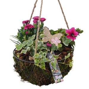 PTPP6914 Arrangement Patio in metalen hangpot