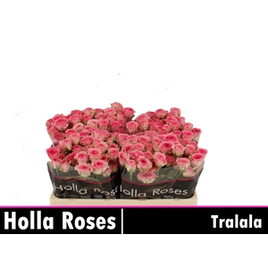 R Tr Tralala