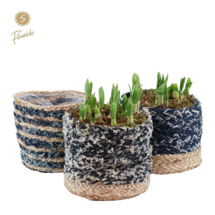 <h4>Arrangementen Narcissus Tete a Tete H%</h4>