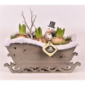 Arrangementen Hyacinthus 6%