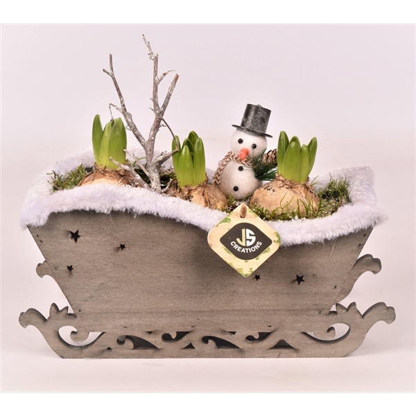 <h4>Arrangementen Hyacinthus 6%</h4>