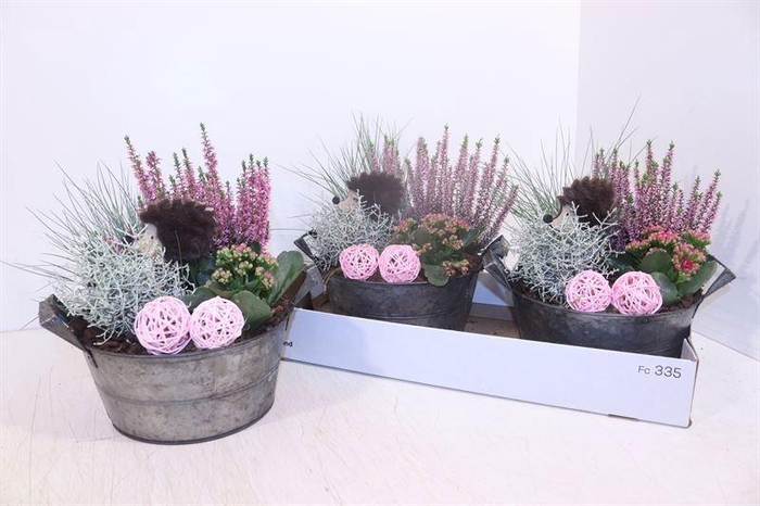 <h4>ARR TUINPLANTEN</h4>
