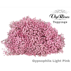 GYPS PA LIGHT PINK