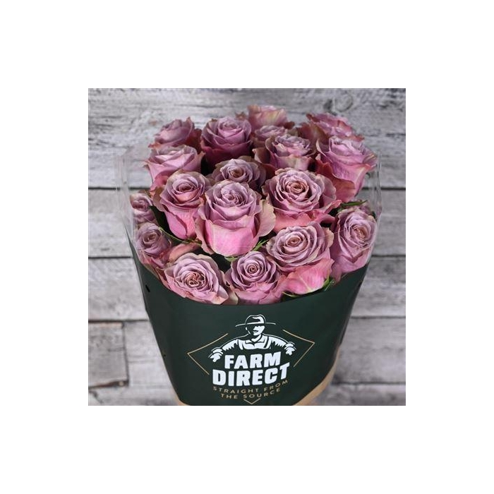 <h4>R Gr Purple Moon</h4>