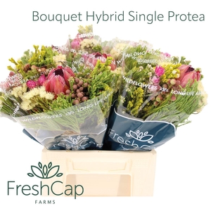 Bouquet Hybrid Single Protea