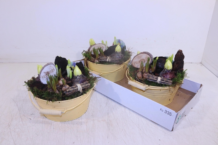 <h4>ARR BOL KNOLGEWAS</h4>