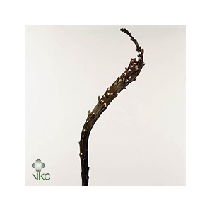 BANDWEIDE STIEL 80CM