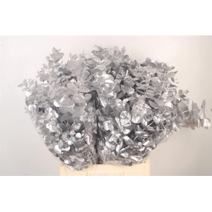 Euca Cin V Silver 400 Gram