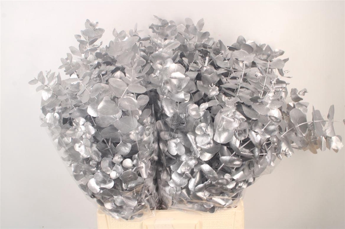 <h4>Euca Cin V Silver 400 Gram</h4>