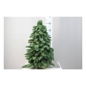 KERSTBOOM 60CM L