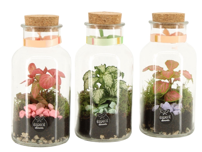 <h4>21969: Contradiction terrarium</h4>