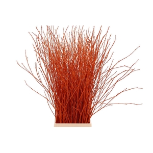 Berk 70cm Orange Pbs