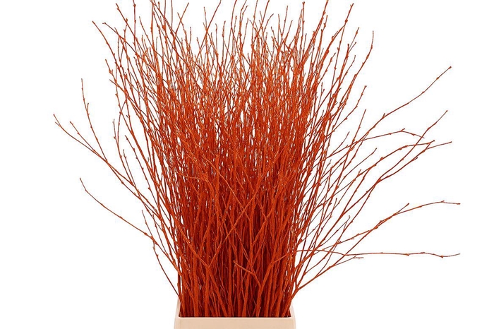 Berk 70cm Orange Pbs