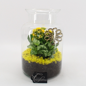 BACR-2506G Basic fundamentals terrarium