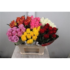 R Gr Gemengd In Fust