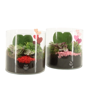 21838: Lovess arrangement