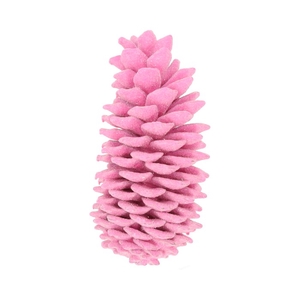 Pinecone Sugar Wax Sugared Slv L35