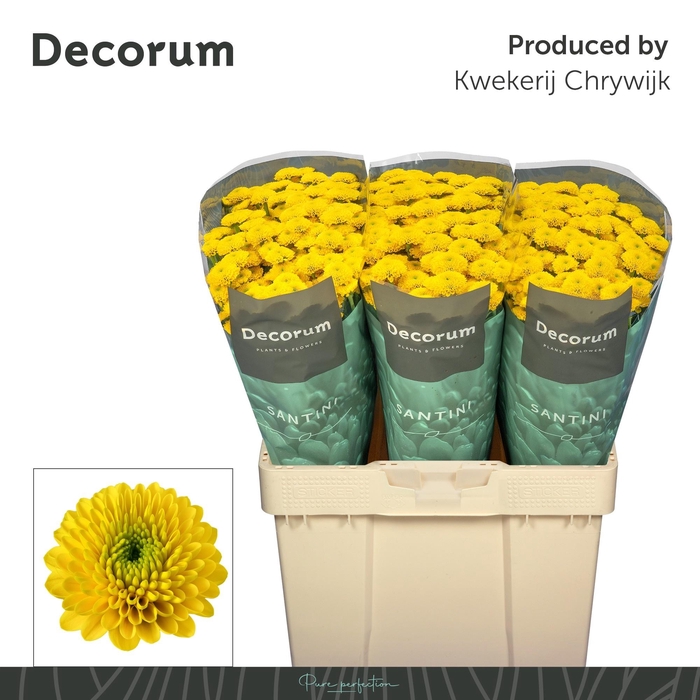 <h4>CHR S AAA AURINKO</h4>