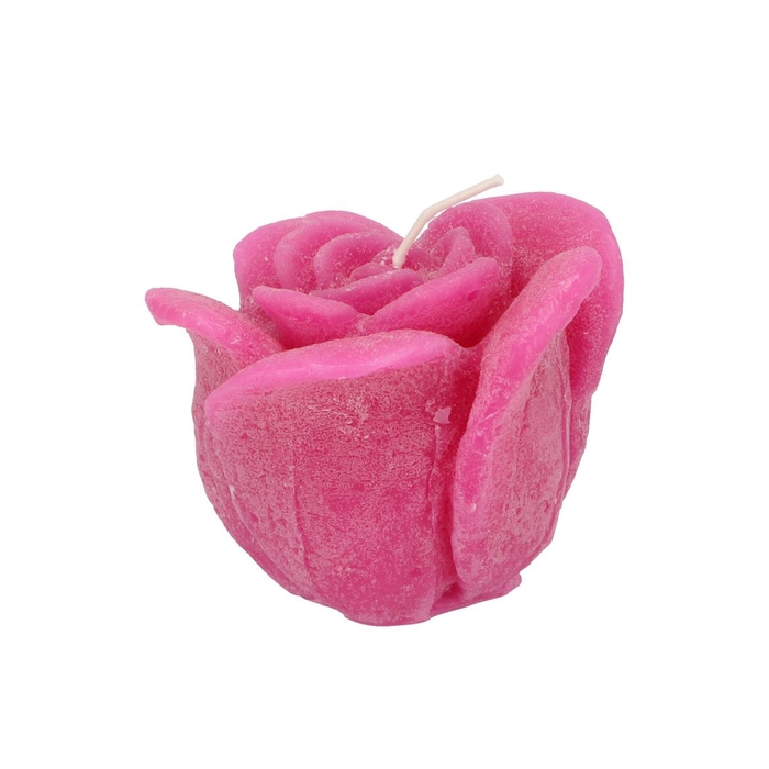 <h4>Candle Roos Fuchsia 11x9cm</h4>