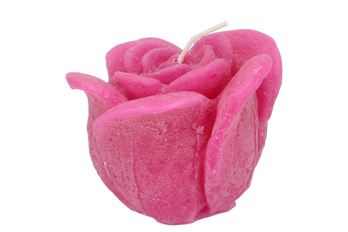 <h4>Candle Roos Fuchsia 11x9cm</h4>