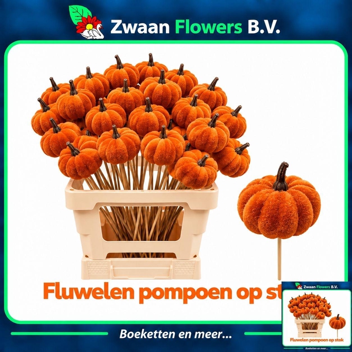 <h4>HUIS EN TUINDECO H%</h4>