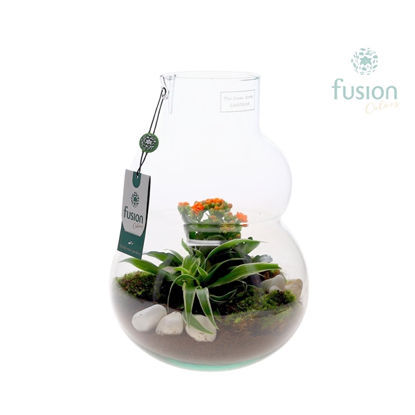 <h4>Green Bottle Olaf Medium met arrangement</h4>