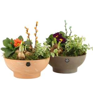 11672: Outdoor spring arrangement