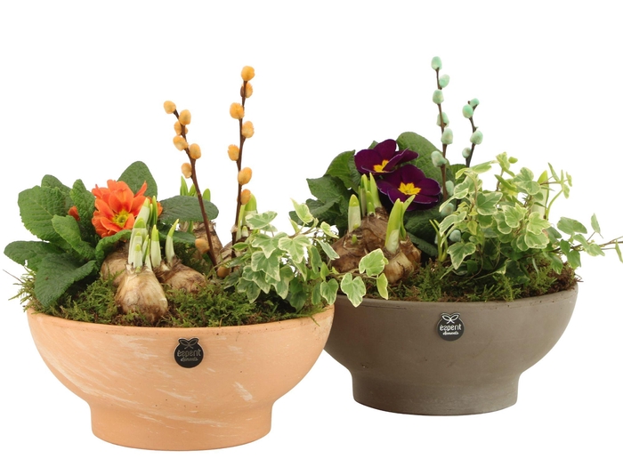 <h4>11672: Outdoor spring arrangement</h4>