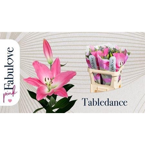 Li Ot Tabledance