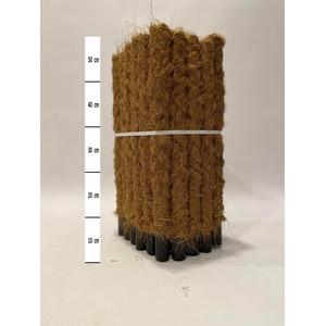 Mosstok 40 cm 30 stuks per bundel