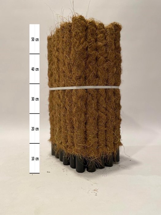 <h4>Mosstok 40 cm 30 stuks per bundel</h4>