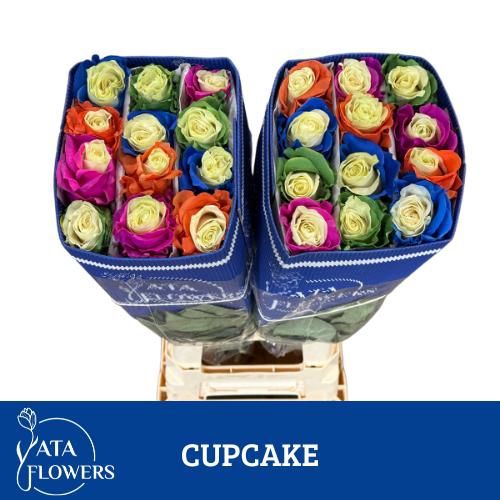 <h4>R Gr Klb Cupcake Mix ATA</h4>