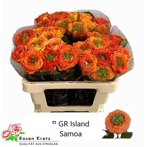 R GR GR ISLAND SAMOA