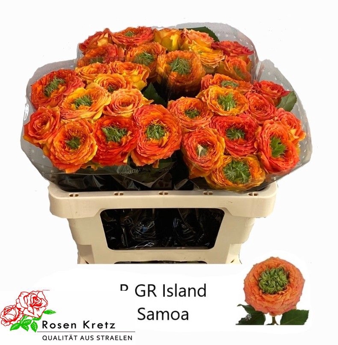 R GR GR ISLAND SAMOA