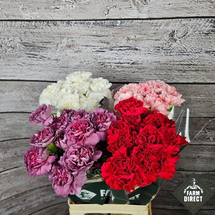 <h4>DI ST GEMENGD IN FUST</h4>