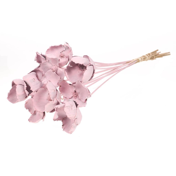 <h4>Palmcup O/s 10pc Pink Misty</h4>