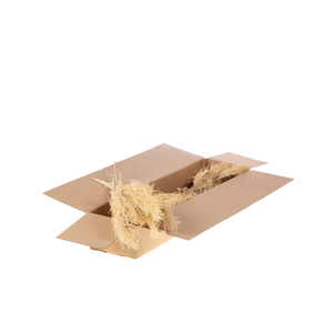 Palm Twizzle 5pc Bunch Sb Bleached White