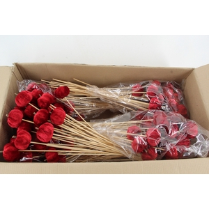 Stick Pumpkin 5/6cm Dark Red