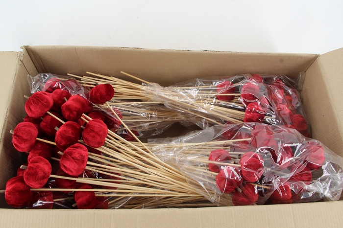 <h4>Stick Pumpkin 5/6cm Dark Red</h4>