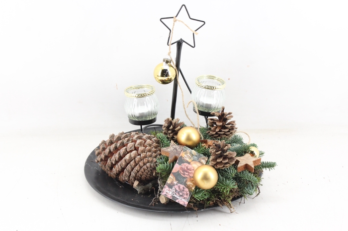 <h4>arr5 Kerst MB - Black plate std ster gold</h4>