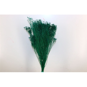 Dried Broom Bloom Petrol Bunch Poly