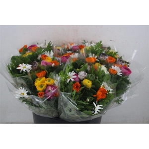 Boeket Primavera P Bunch