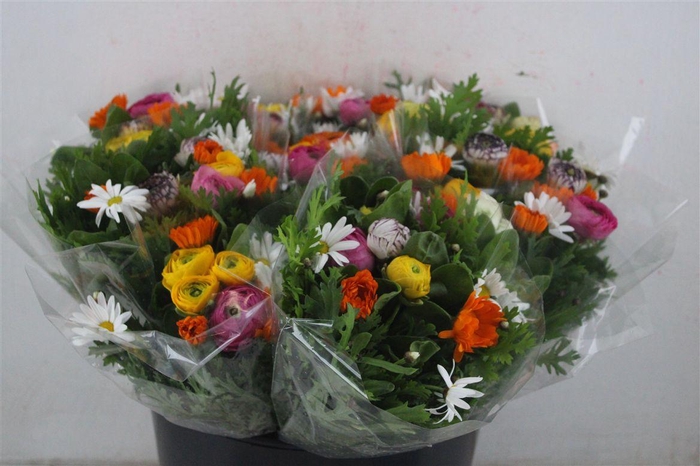 <h4>Boeket Primavera P Bunch</h4>