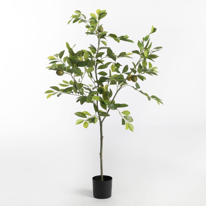 <h4>AF Lemon Tree pot H115cm Green</h4>