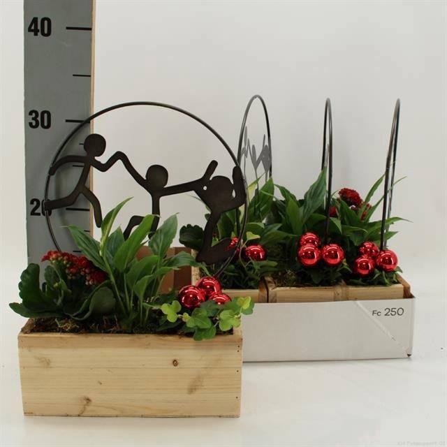 <h4>ARR KAMERPL</h4>