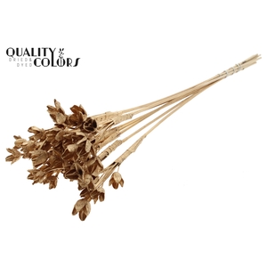 Bakuli On Stem Antique Gold